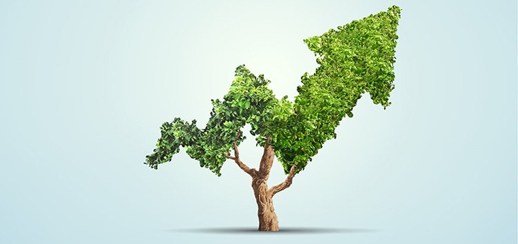 Sustainable Growth Recovery Will Need Government Support