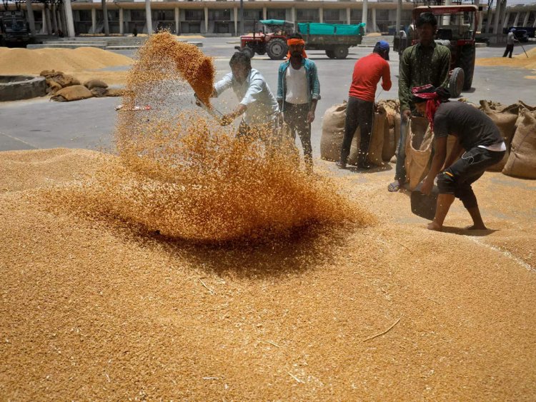 Sudden Export Bans Hurt India Globally